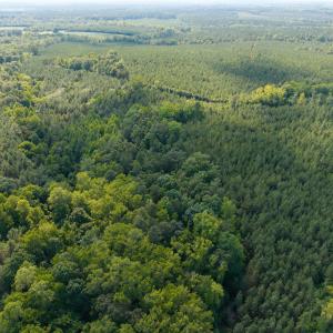 Photo #6 of 7110 Shep Royster, Oxford, NC 6.4 acres
