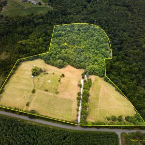 Photo #2 of 935 Vernie Phillips, Bear Creek, NC 32.1 acres