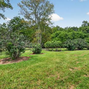 Photo #48 of 935 Vernie Phillips, Bear Creek, NC 32.1 acres
