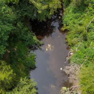 Photo #8 of 935 Vernie Phillips, Bear Creek, NC 32.1 acres