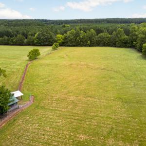 Photo #3 of 935 Vernie Phillips, Bear Creek, NC 32.1 acres