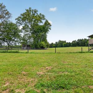 Photo #14 of 935 Vernie Phillips, Bear Creek, NC 32.1 acres