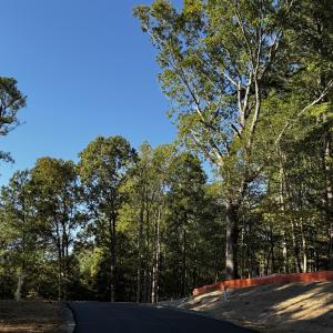 Photo #8 of 140 Noble Reserve, Pittsboro, NC 5.8 acres