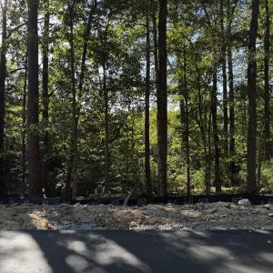 Photo #5 of 140 Noble Reserve, Pittsboro, NC 5.8 acres