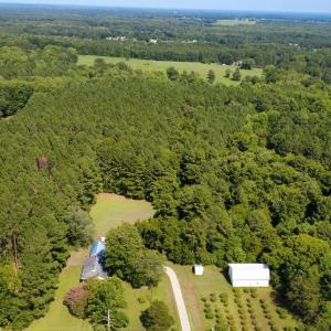Photo #3 of Bahama, Rougemont, NC 23.0 acres