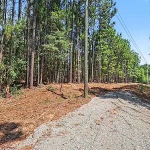 Photo #9 of 810 Chatham, Cary, NC 2.0 acres