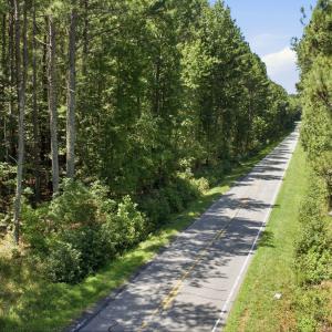 Photo #2 of 2525 Hester, Creedmoor, NC 54.4 acres