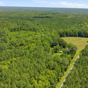 Photo #5 of 2525 Hester, Creedmoor, NC 54.4 acres