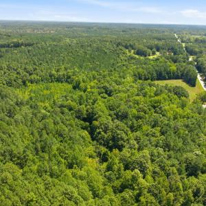 Photo #7 of 2525 Hester, Creedmoor, NC 54.4 acres