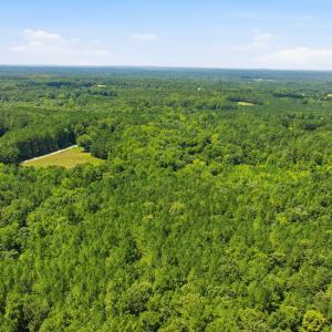 Photo #11 of 2525 Hester, Creedmoor, NC 54.4 acres