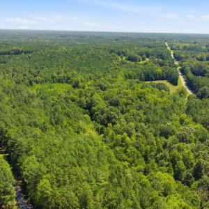 Photo #8 of 2525 Hester, Creedmoor, NC 54.4 acres