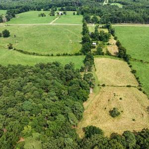 Photo #60 of 147 Carl Johnson, Snow Camp, NC 25.6 acres