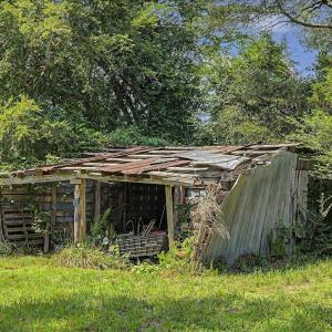 Photo #47 of 147 Carl Johnson, Snow Camp, NC 25.6 acres