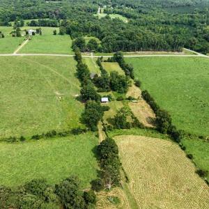 Photo #58 of 147 Carl Johnson, Snow Camp, NC 25.6 acres