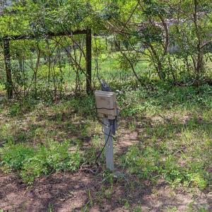 Photo #45 of 147 Carl Johnson, Snow Camp, NC 25.6 acres
