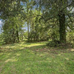 Photo #48 of 147 Carl Johnson, Snow Camp, NC 25.6 acres