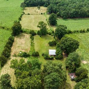 Photo #54 of 147 Carl Johnson, Snow Camp, NC 25.6 acres