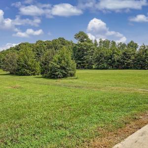 Photo #40 of 147 Carl Johnson, Snow Camp, NC 25.6 acres