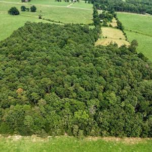 Photo #67 of 147 Carl Johnson, Snow Camp, NC 25.6 acres