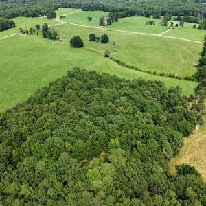 Photo #64 of 147 Carl Johnson, Snow Camp, NC 25.6 acres