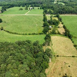 Photo #59 of 147 Carl Johnson, Snow Camp, NC 25.6 acres