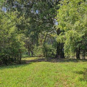 Photo #53 of 147 Carl Johnson, Snow Camp, NC 25.6 acres