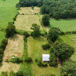 Photo #55 of 147 Carl Johnson, Snow Camp, NC 25.6 acres