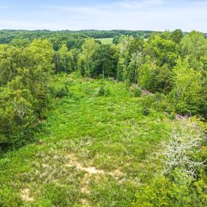 Photo #24 of 67 Lake Pointe, Yanceyville, NC 5.9 acres