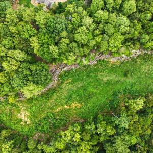Photo #8 of 67 Lake Pointe, Yanceyville, NC 5.9 acres