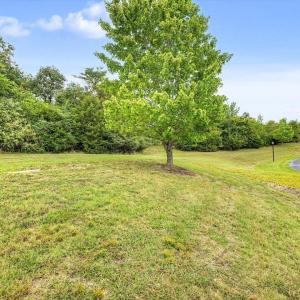 Photo #18 of 67 Lake Pointe, Yanceyville, NC 5.9 acres