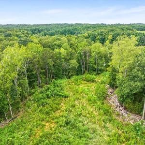 Photo #26 of 67 Lake Pointe, Yanceyville, NC 5.9 acres