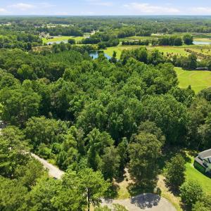 Photo #4 of 205 Teresa, Angier, NC 2.1 acres