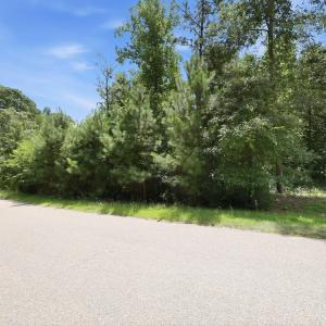 Photo #14 of 205 Teresa, Angier, NC 2.1 acres