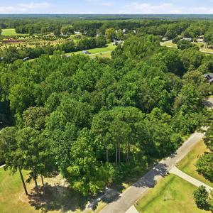 Photo #2 of 205 Teresa, Angier, NC 2.1 acres