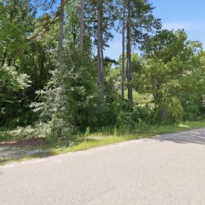 Photo #15 of 205 Teresa, Angier, NC 2.1 acres