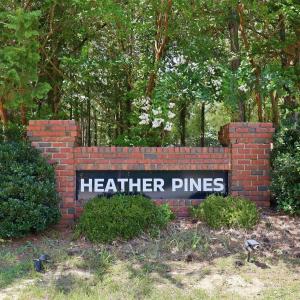 Photo #16 of 205 Teresa, Angier, NC 2.1 acres