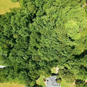 Photo #10 of 205 Teresa, Angier, NC 2.1 acres