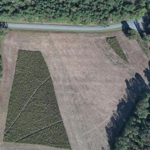Photo #4 of Lot 2 Sams, Mebane, NC 4.7 acres