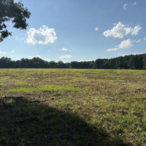 Photo #1 of Lot 3 Sams, Mebane, NC 4.1 acres