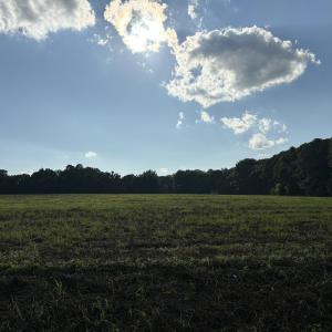 Photo #4 of Lot 4 Oak Grove Church, Mebane, NC 4.1 acres