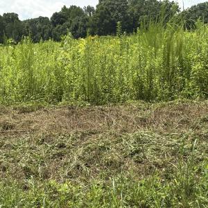 Photo #3 of Lot 5 Oak Grove Church, Mebane, NC 6.7 acres