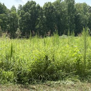 Photo #2 of Lot 5 Oak Grove Church, Mebane, NC 6.7 acres