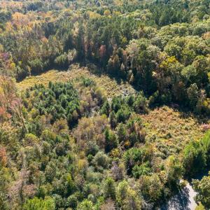 Photo #2 of 1205 Terry, Durham, NC 1.6 acres