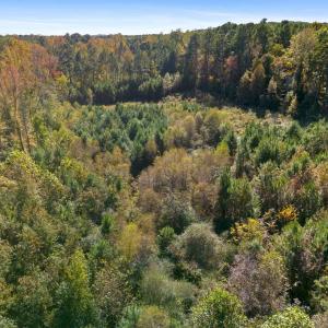 Photo #6 of 1205 Terry, Durham, NC 1.6 acres