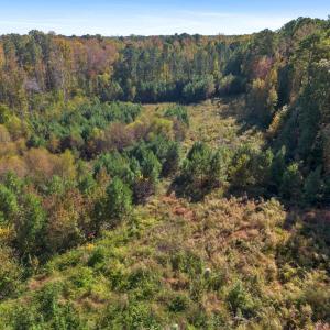 Photo #4 of 1205 Terry, Durham, NC 1.6 acres