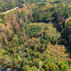 Photo #1 of 1205 Terry, Durham, NC 1.6 acres