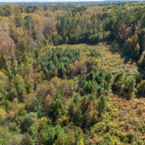 Photo #3 of 1205 Terry, Durham, NC 1.6 acres