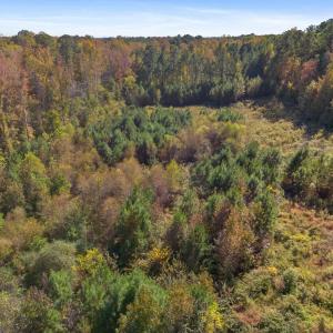 Photo #5 of 1205 Terry, Durham, NC 1.6 acres