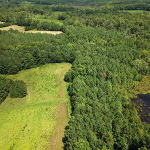 Photo #13 of (tract C) Brassfield, Creedmoor, NC 22.4 acres