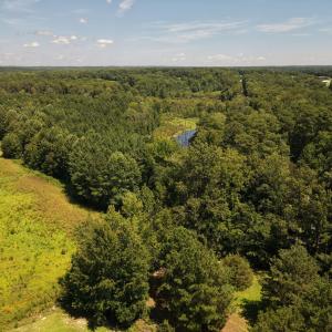 Photo #6 of (tract C) Brassfield, Creedmoor, NC 22.4 acres